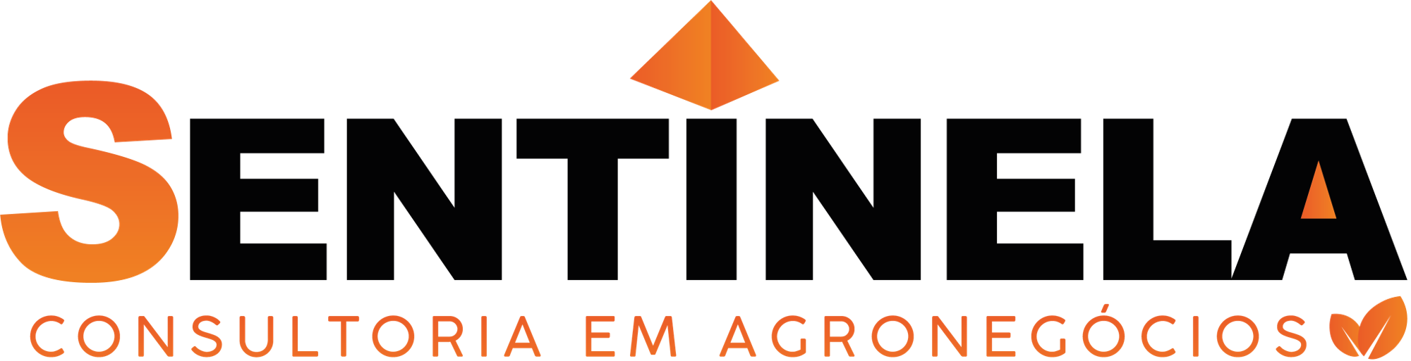 Logo Cliente